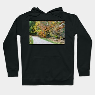 Road in the autumn Hoodie